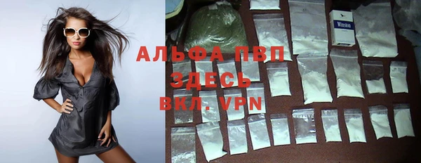 стаф Абаза