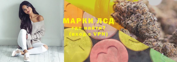 стаф Абаза