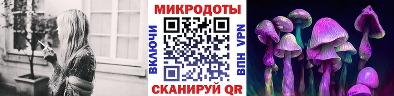 Псилоцибиновые грибы Cubensis Норильск