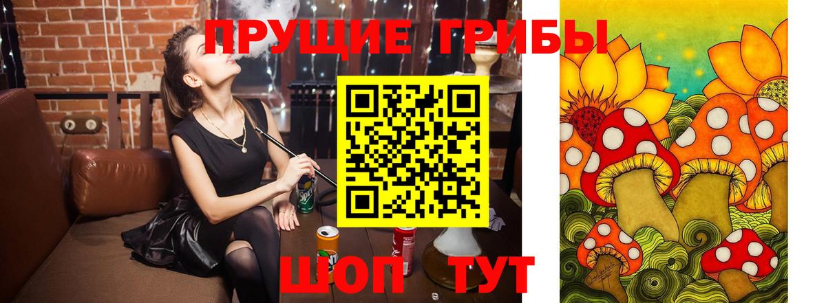 Норильск  Галлюциногенные грибы Psilocybe  где купить наркотик  Вход с VPN 